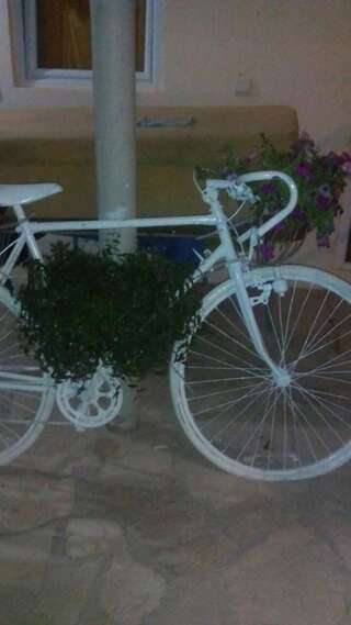 Апартаменты Vila Fenix Čanj Сутоморе Апартаменты с 1 спальней-3