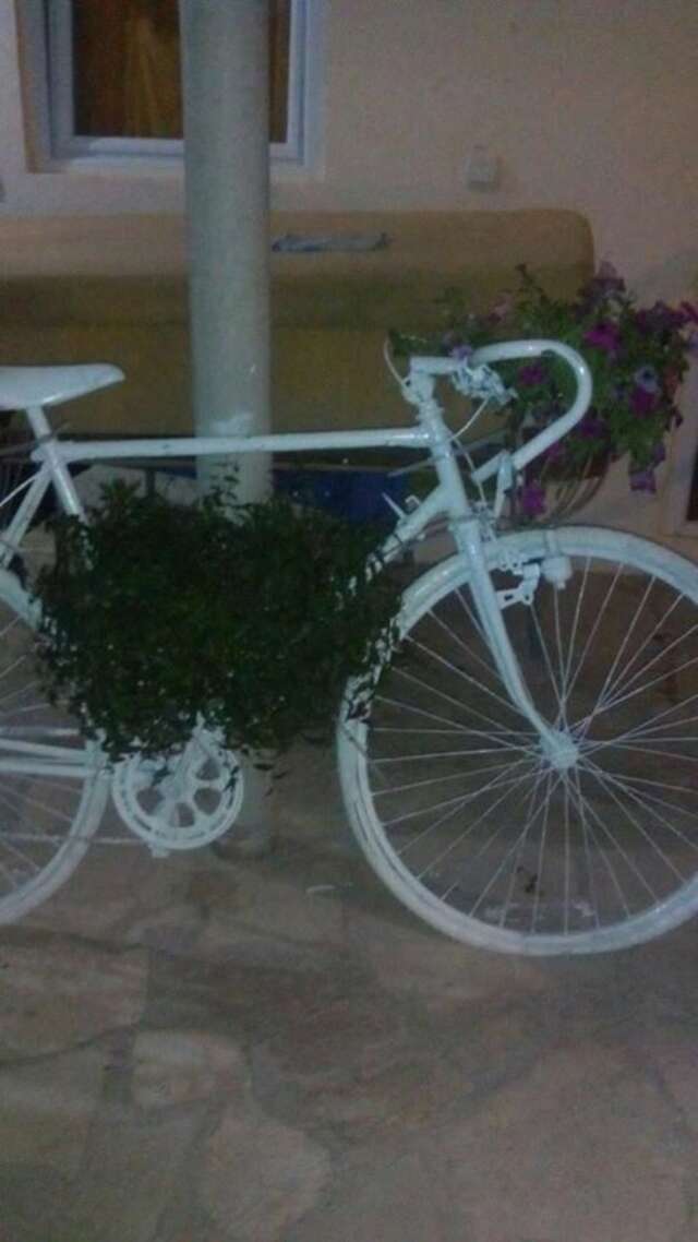 Апартаменты Vila Fenix Čanj Сутоморе-5